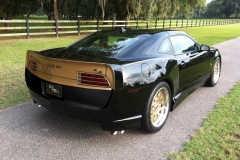gold-rear-3